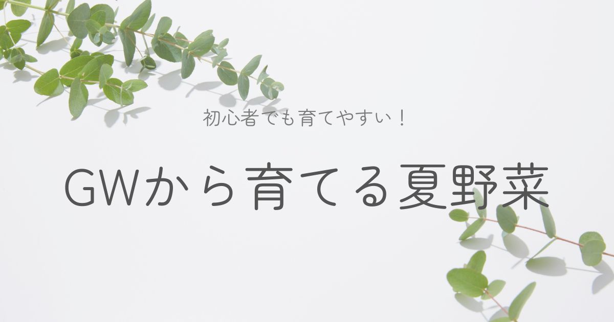 GWに育てる夏野菜ガイドのイメージ画像