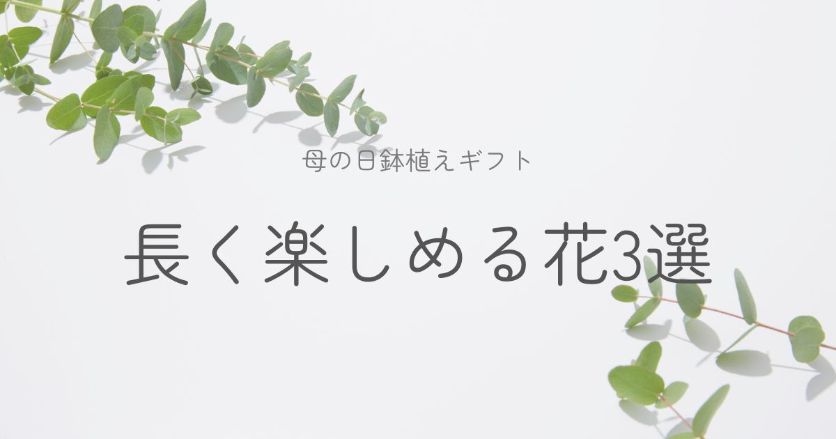 母の日鉢植えギフト3選のイメージ画像
