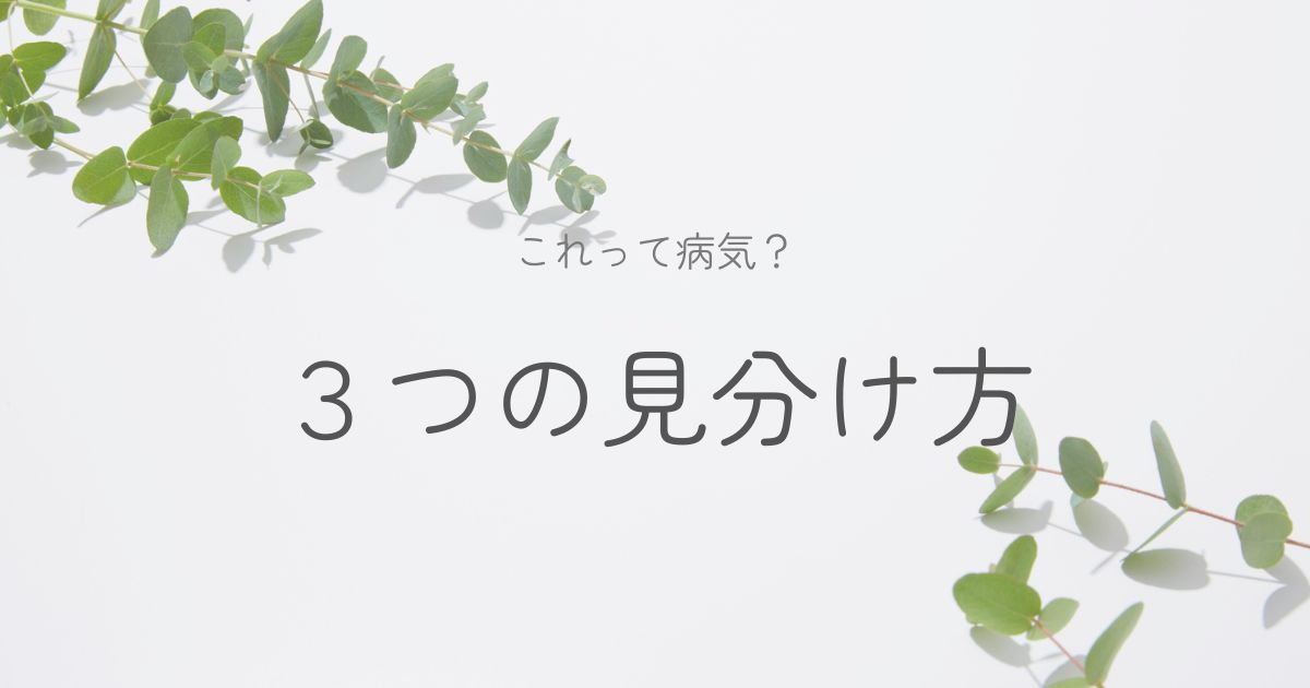 植物の病気を判断するコツについてのイメージ画像