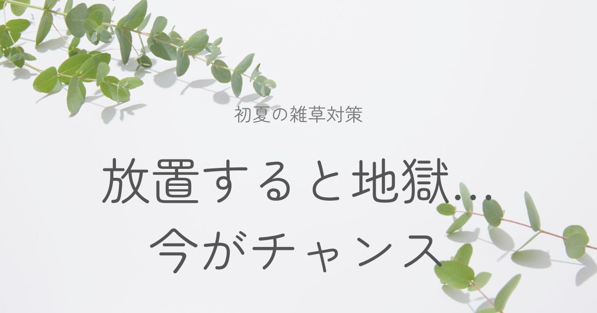 初夏の雑草対策のイメージ画像