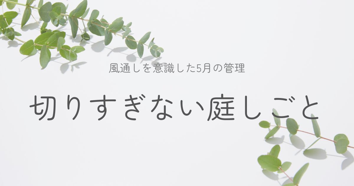初夏の庭の整理についてのイメージ画像