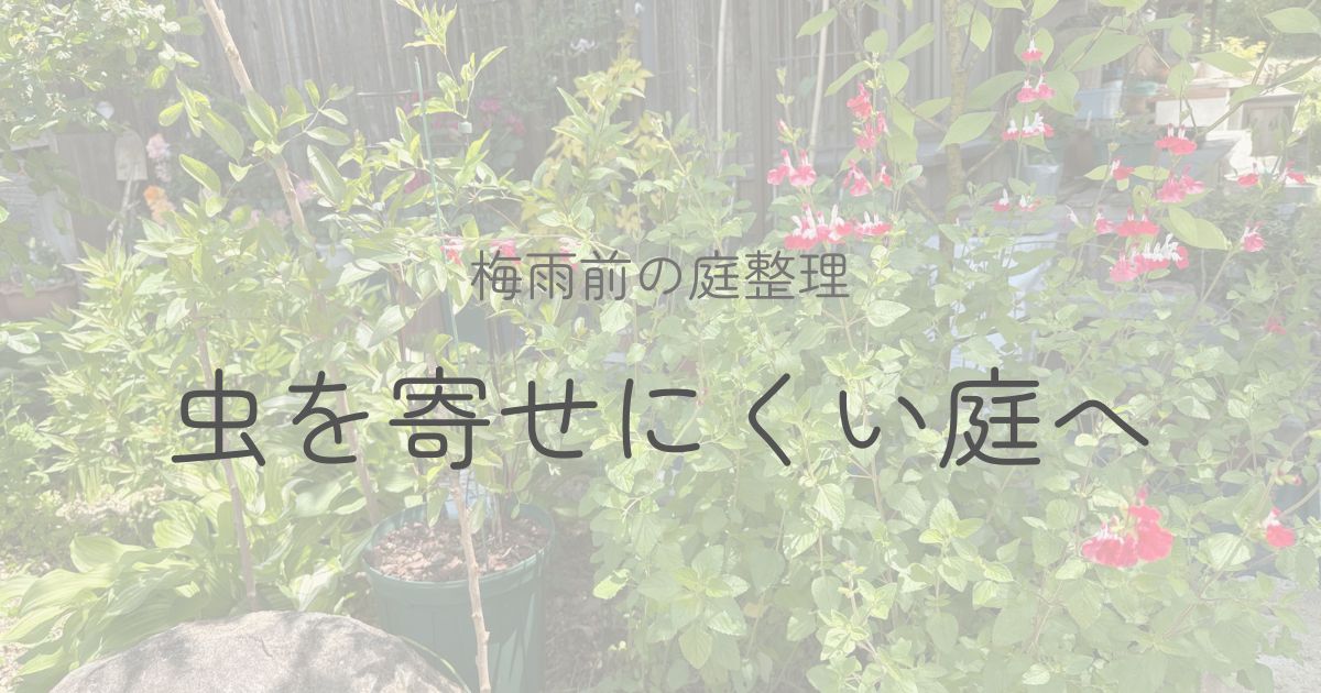 風通しの良い花壇