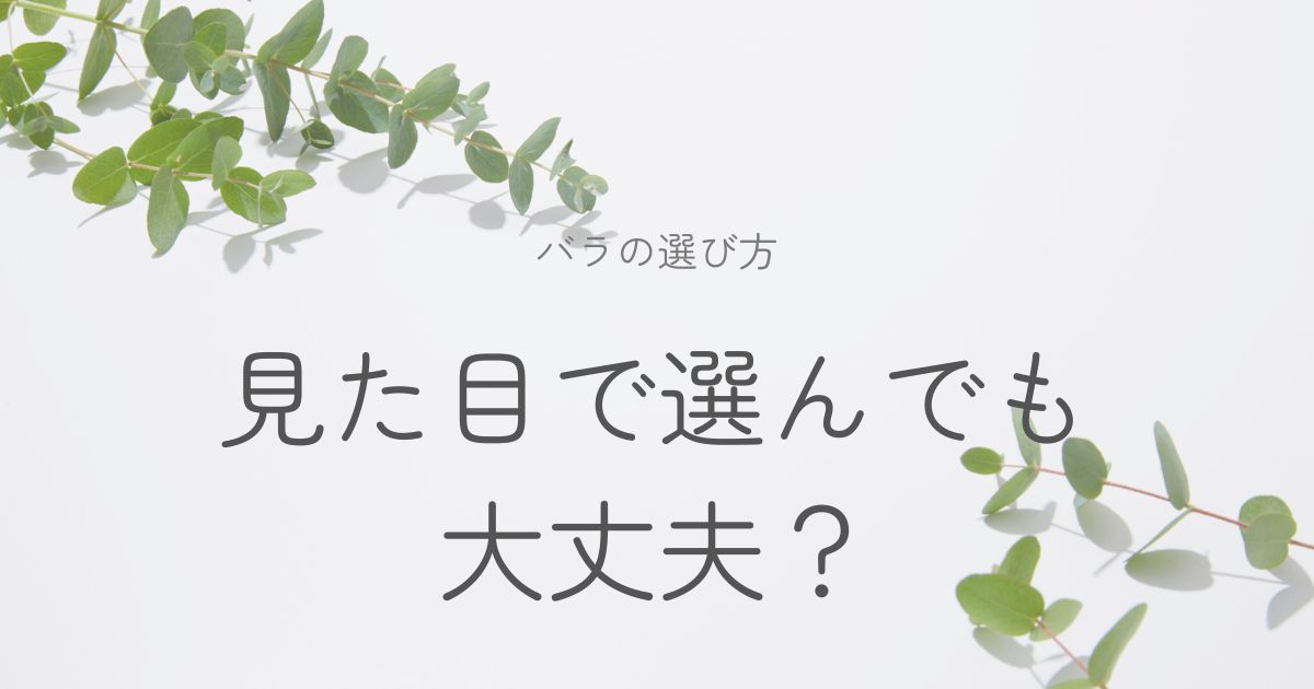 バラの選び方についてのイメージ画像