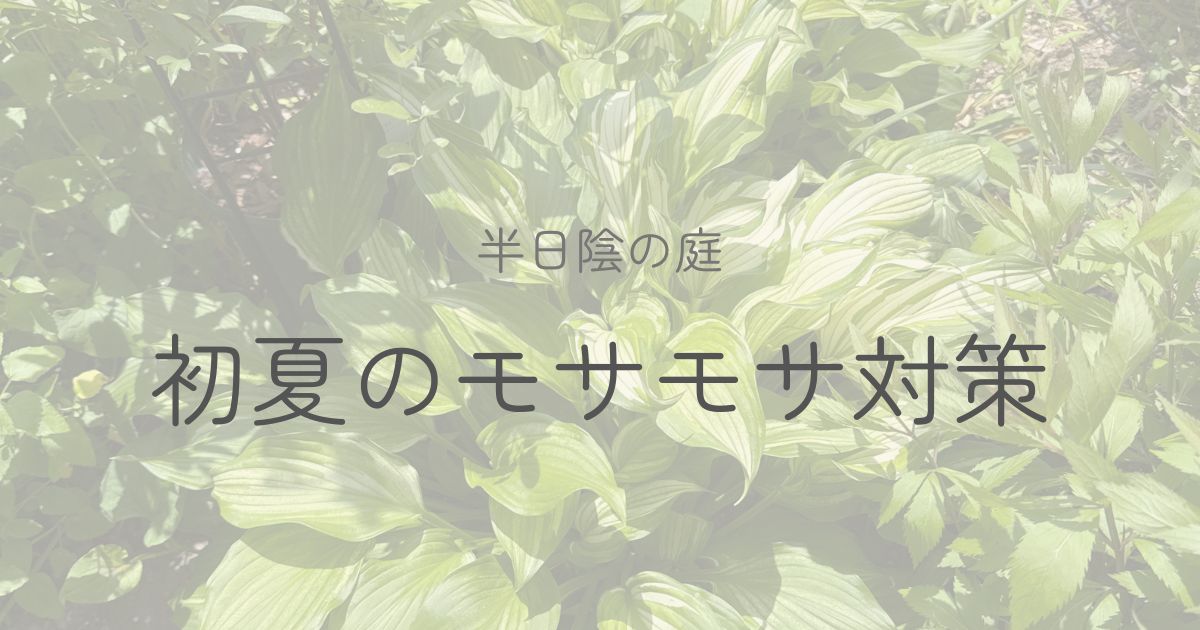 半日陰の庭の初夏対策のアイキャッチ画像