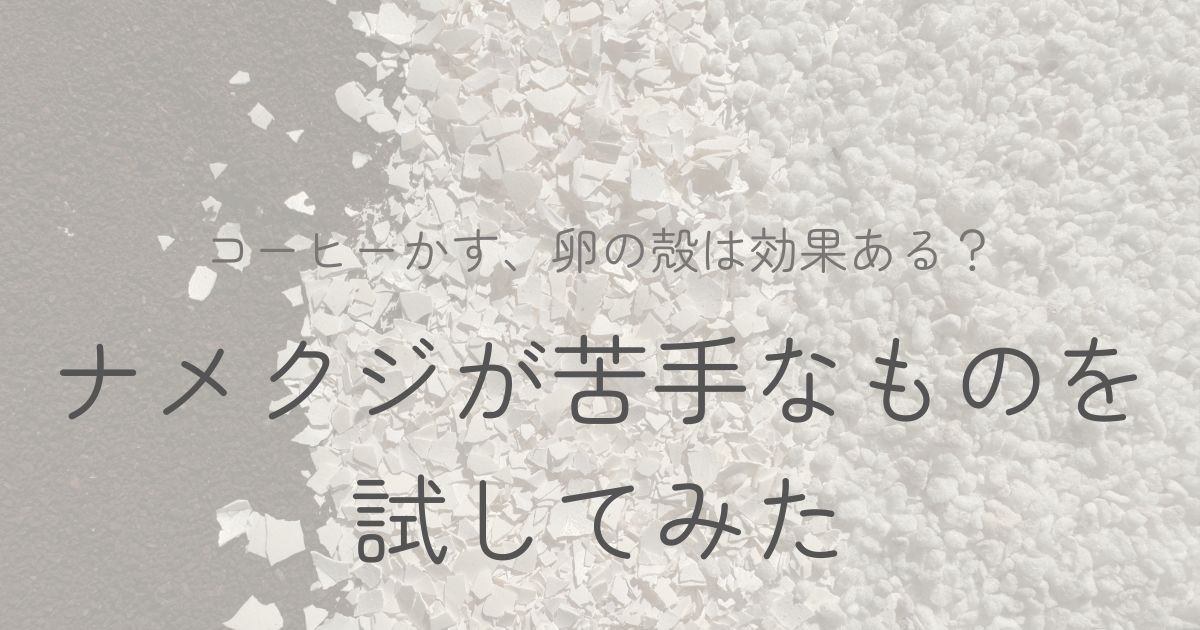 なめくじが苦手なものについてのイメージ画像