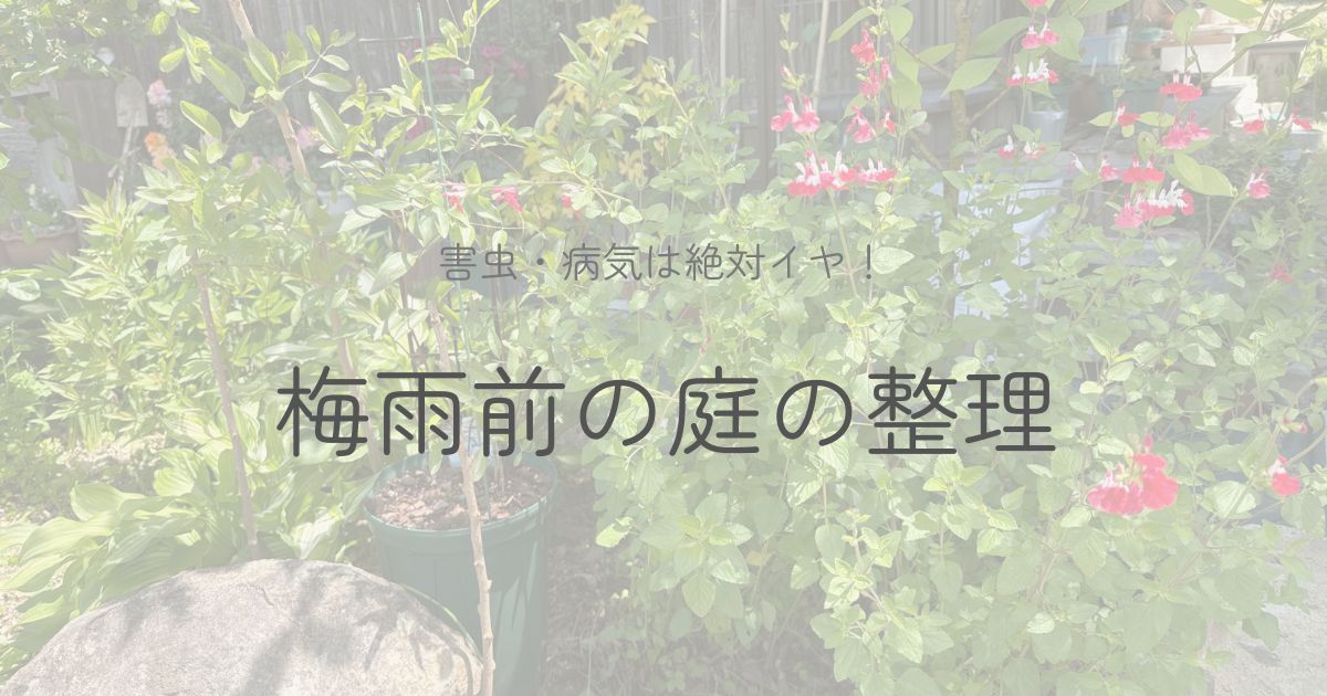 梅雨前の庭整理についてのイメージ画像