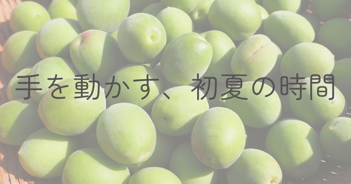 初夏の手仕事について、青梅の画像