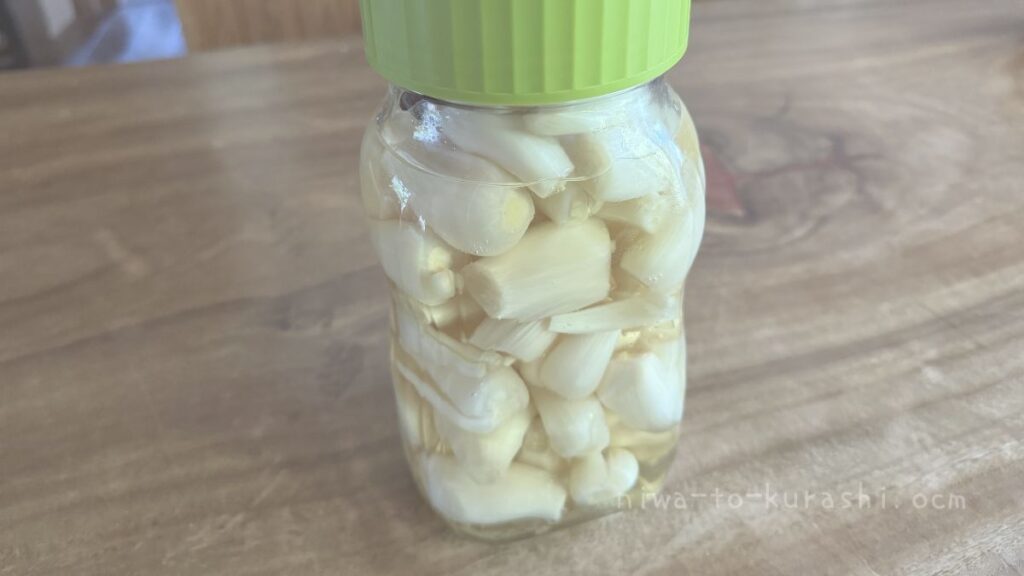 保存瓶に漬けたらっきょうの甘酢漬け